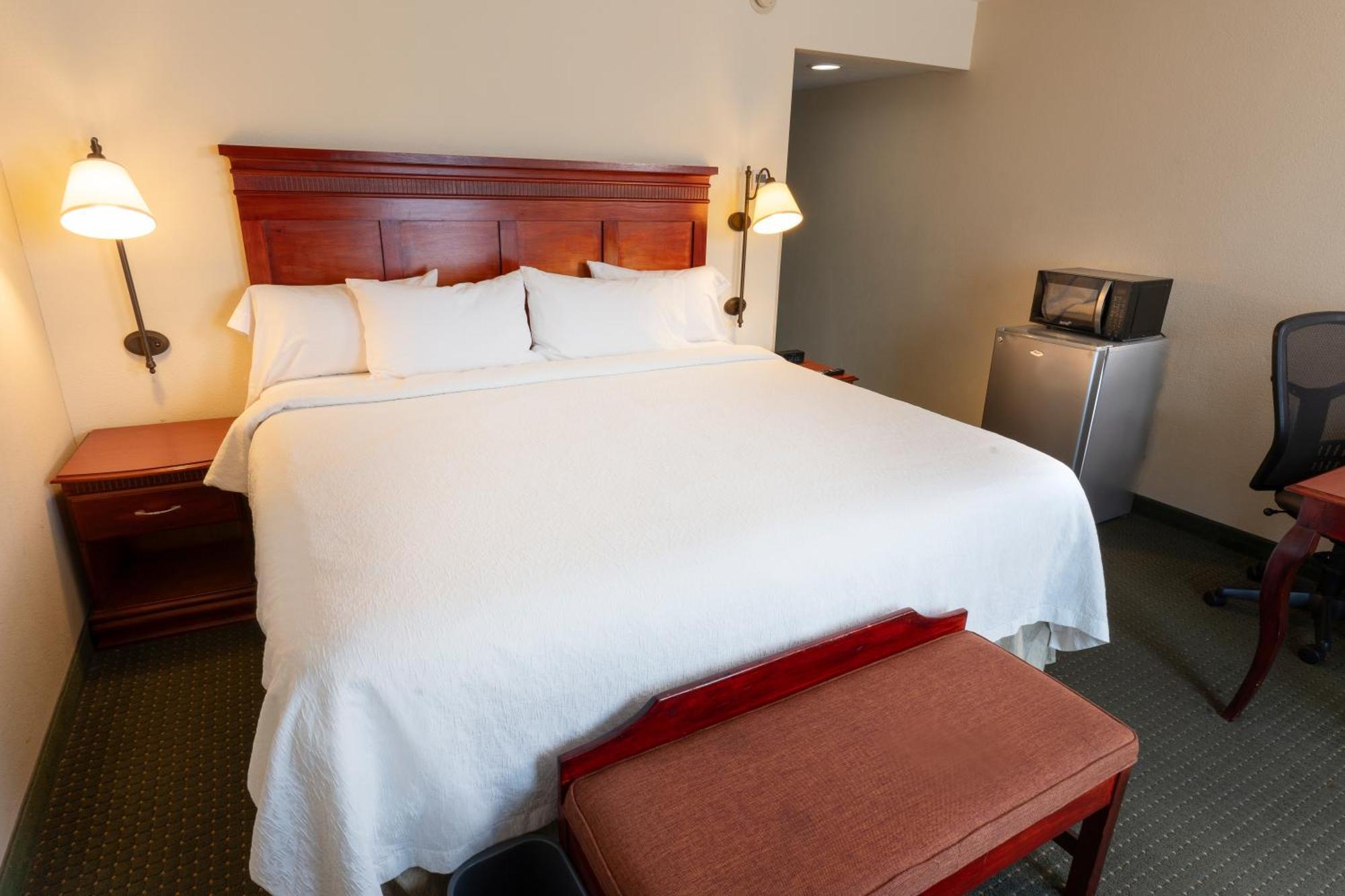 Hampton Inn By Hilton Guadalajara-Aeropuerto Buitenkant foto